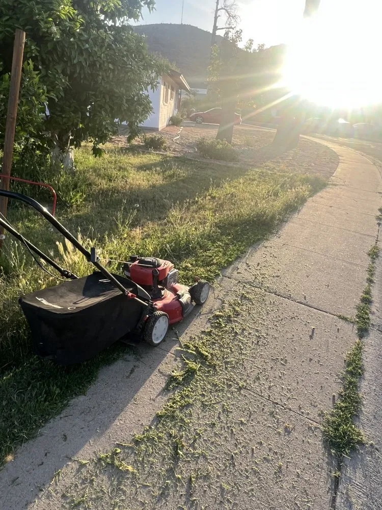 Custom landscape installation in Phoenix, AZ by D&M Lawncare and Landscaping