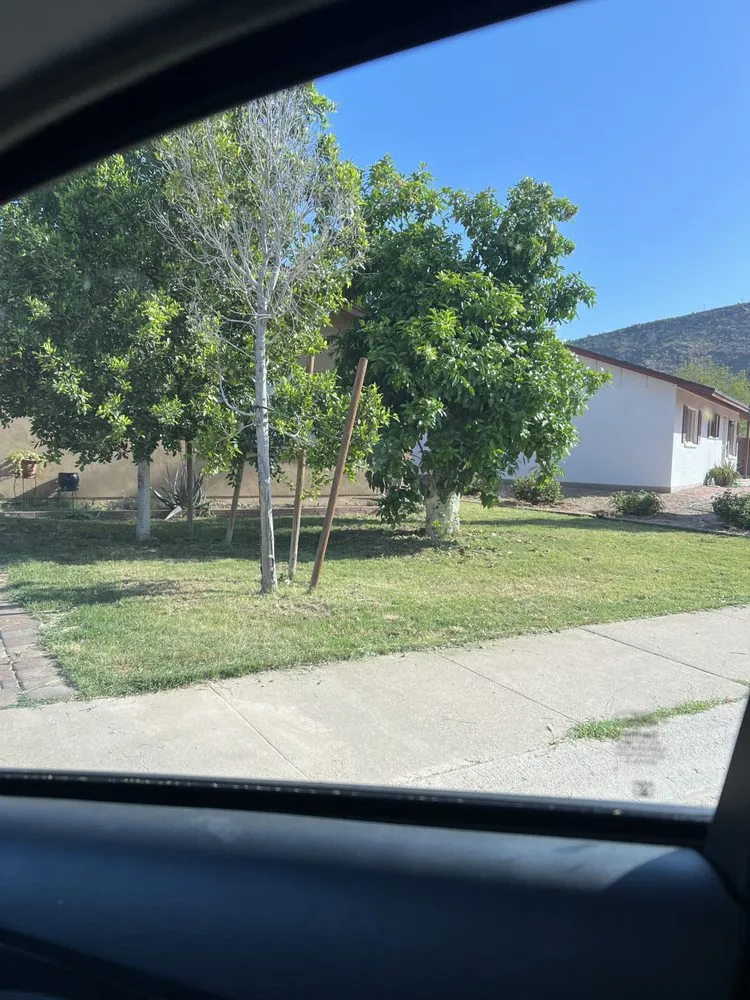 Top-rated garden landscaping for beautiful yards in Phoenix, AZ by D&M Lawncare and Landscaping