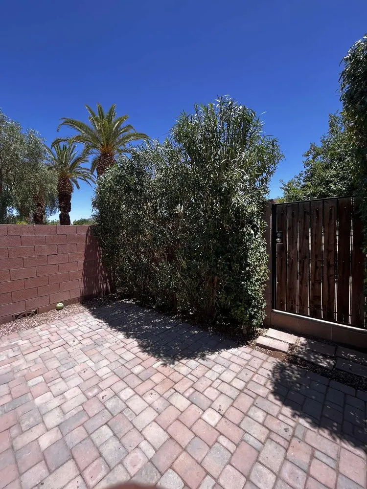 Professional outdoor landscaping in Phoenix, AZ - D&M Lawncare and Landscaping