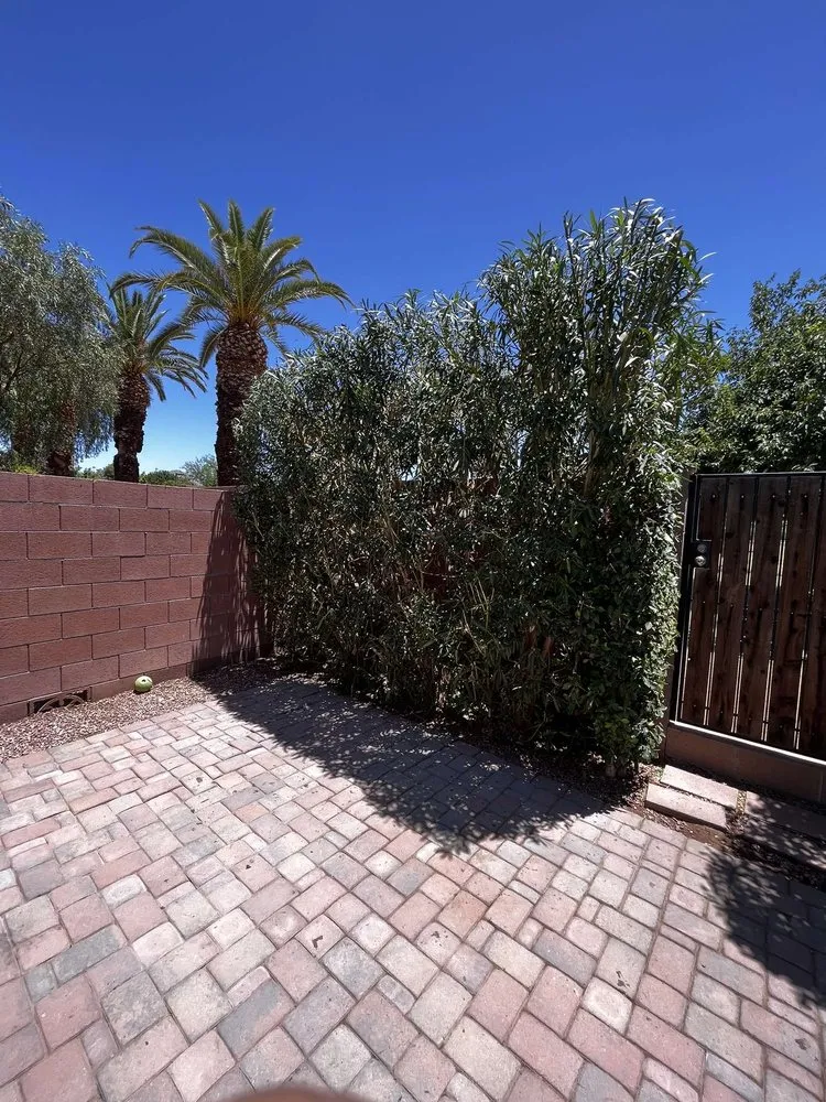 Local yard cleanup service experts serving Phoenix, AZ - D&M Lawncare and Landscaping