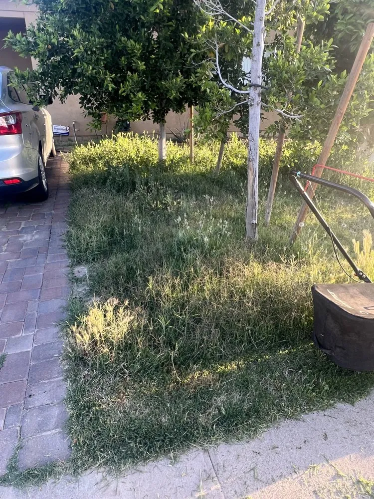 Top-rated garden landscaping in Phoenix, AZ by D&M Lawncare and Landscaping