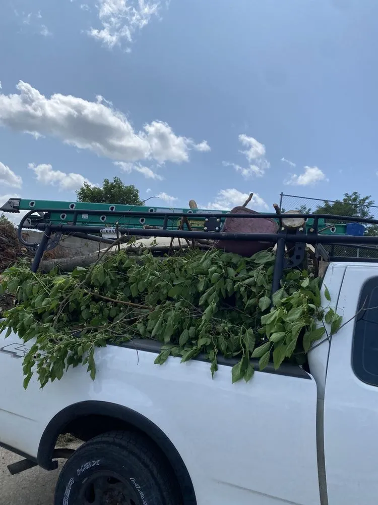 Trusted landscape design for year-round maintenance in Kalamazoo, MI by D&M Lawncare