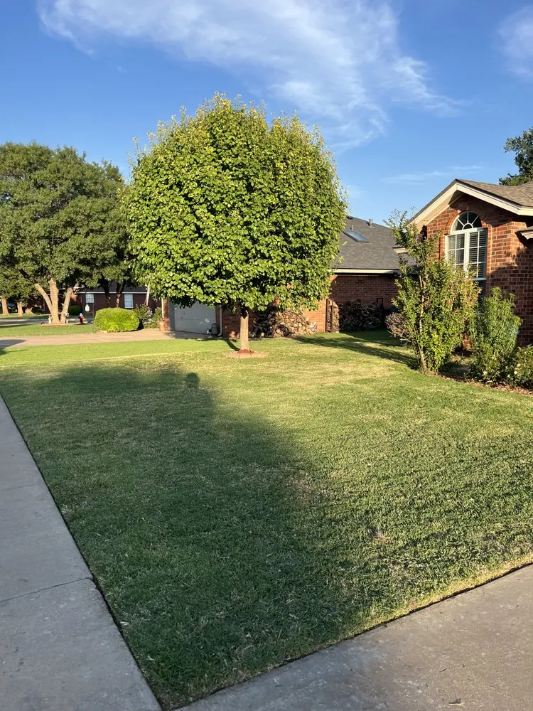 Custom yard cleanup service for residential properties in Lubbock, TX by DM Lawns