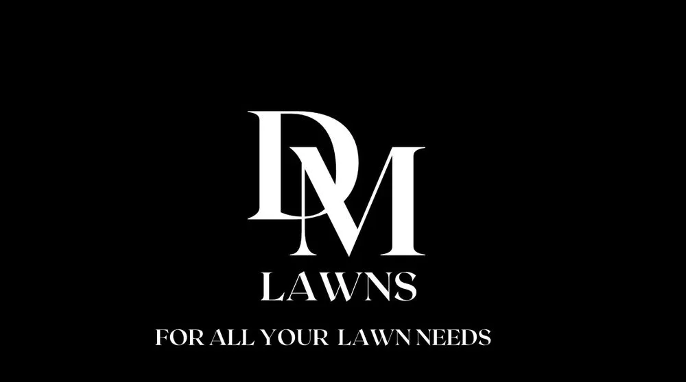 Local landscape installation experts serving Lubbock, TX - DM Lawns