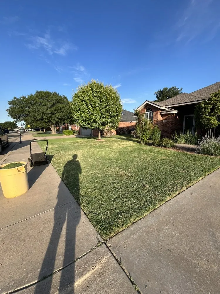 Expert outdoor landscaping experts serving Lubbock, TX - DM Lawns