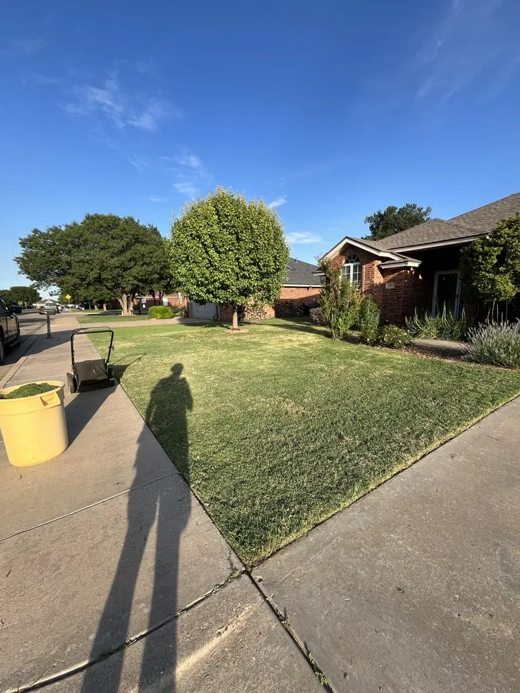 Reliable yard cleanup service in Lubbock, TX by DM Lawns