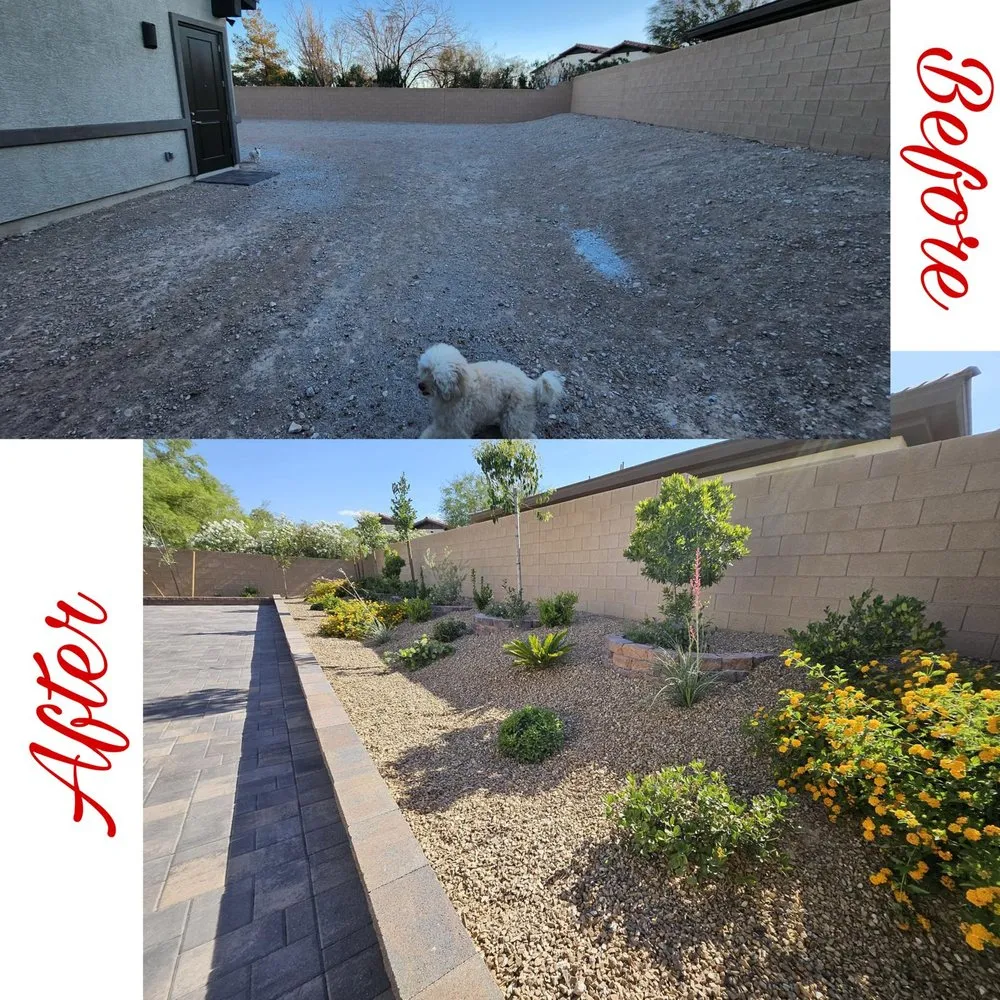 Affordable lawn mowing service for year-round maintenance in Las Vegas, NV by DM Luxury Landscape & Maintenance