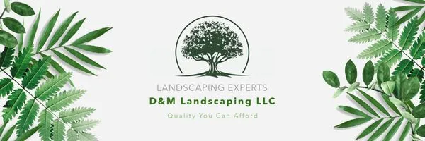 D&M Mowing and Landscaping Logo