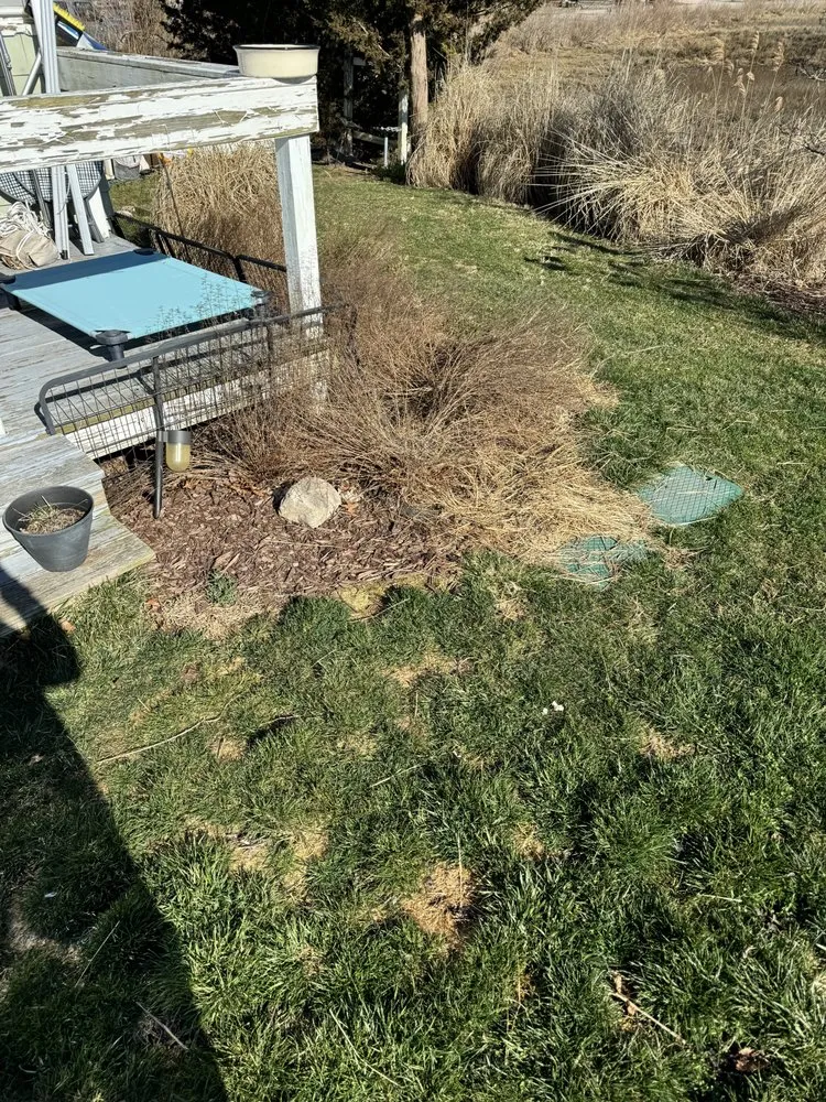 Top-rated landscaping services for residential properties across Mystic, CT - D&M Outdoor Services