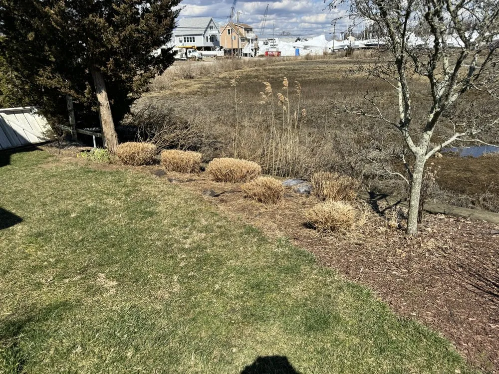 Professional outdoor landscaping with custom design in Mystic, CT by D&M Outdoor Services