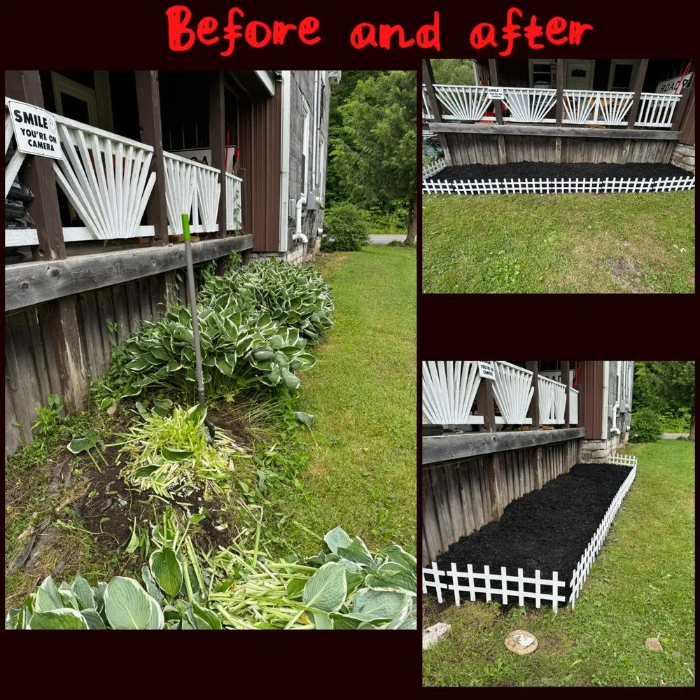 Top-rated lawn care service in Frankfort, NY by DM Property Services