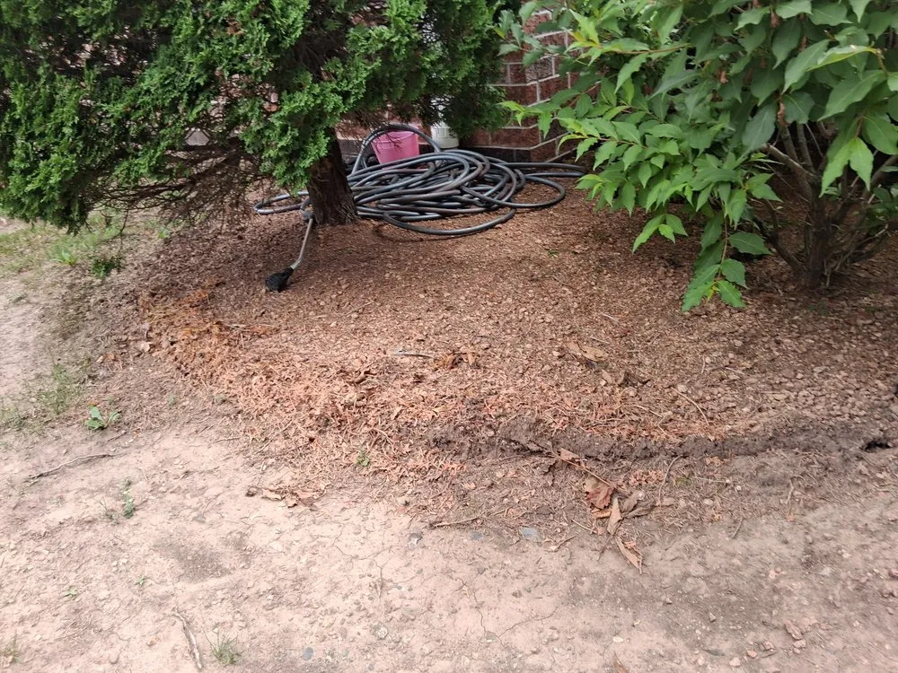 Professional residential landscaping experts serving Howard, WI - D&M Services + Cleaners