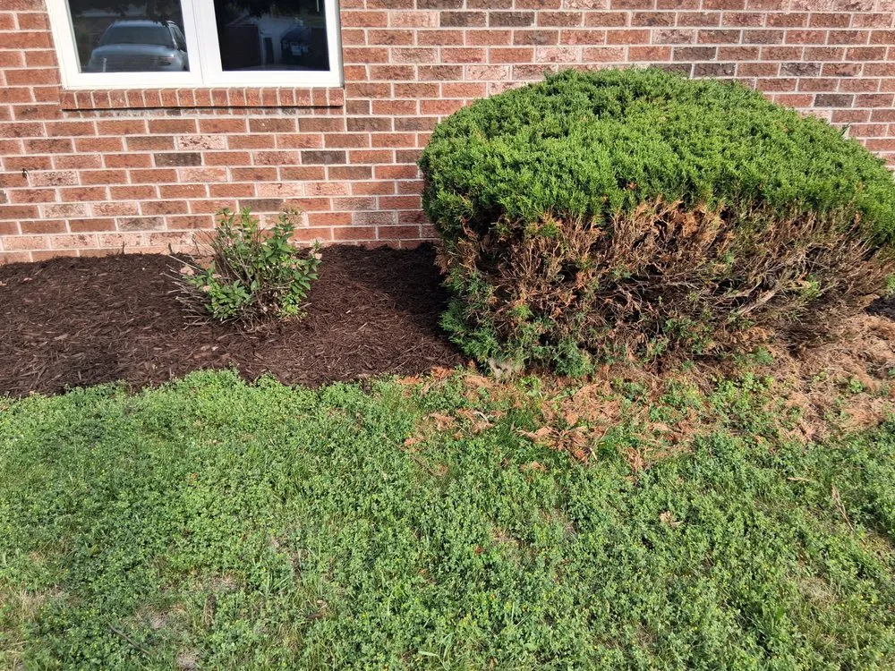 Local garden landscaping experts serving Howard, WI - D&M Services + Cleaners