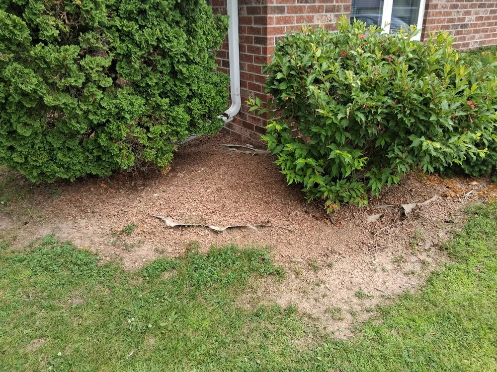 Trusted landscape installation experts serving Howard, WI - D&M Services + Cleaners