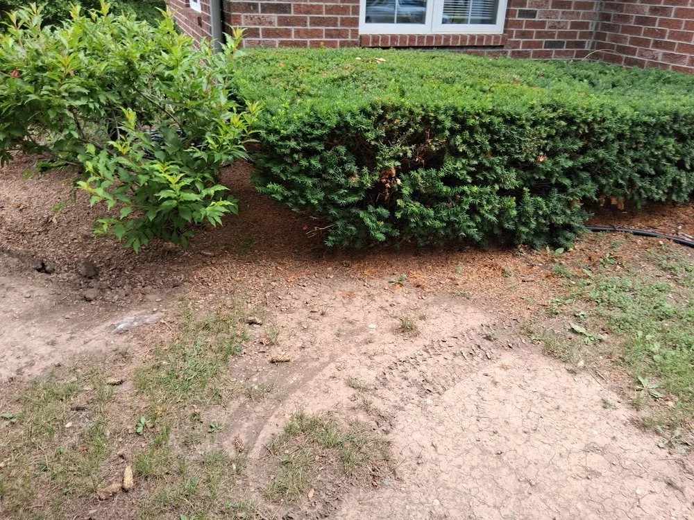 Professional landscape installation in Howard, WI - D&M Services + Cleaners