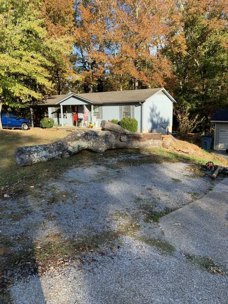 Top-rated garden landscaping for outdoor upgrades across Florence, AL - D&M services