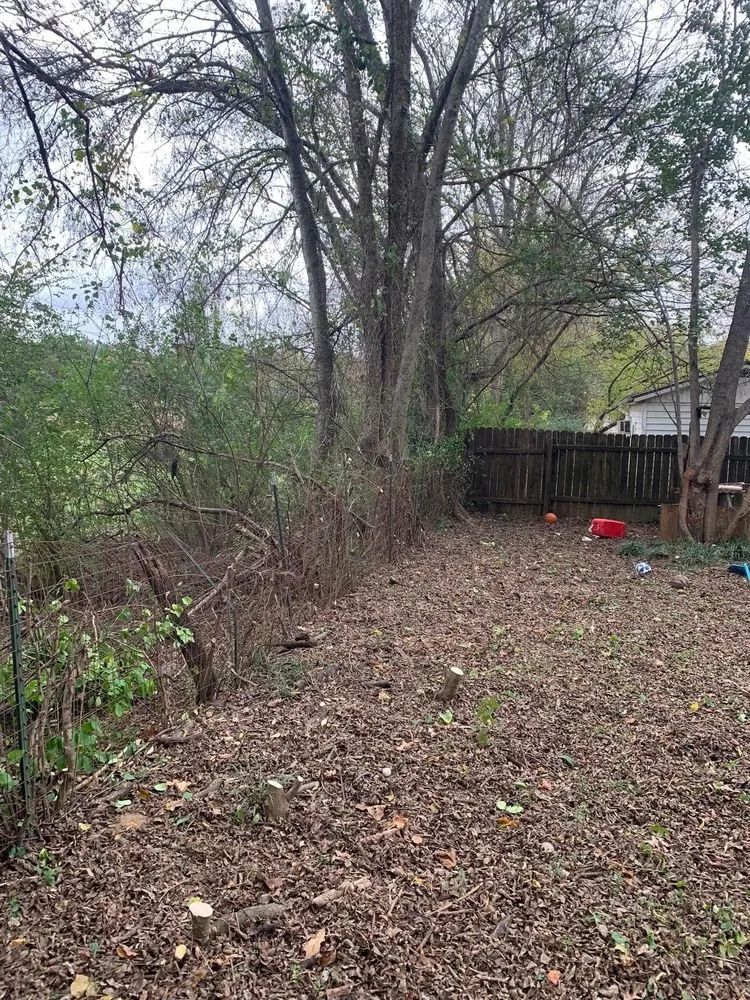 Expert lawn care service for outdoor upgrades across Florence, AL - D&M services