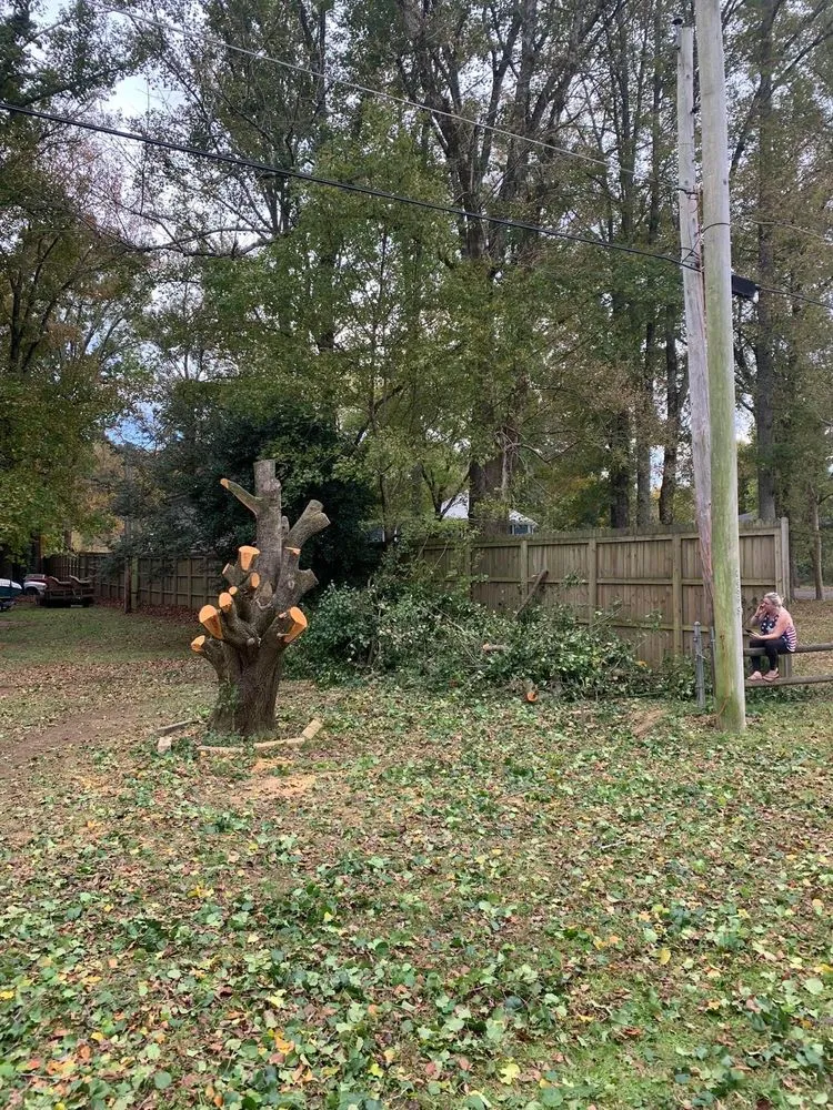 Reliable lawn care service for residential properties across Florence, AL - D&M services