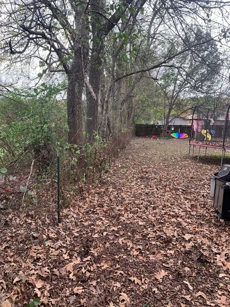 Professional landscape design in Florence, AL by D&M services