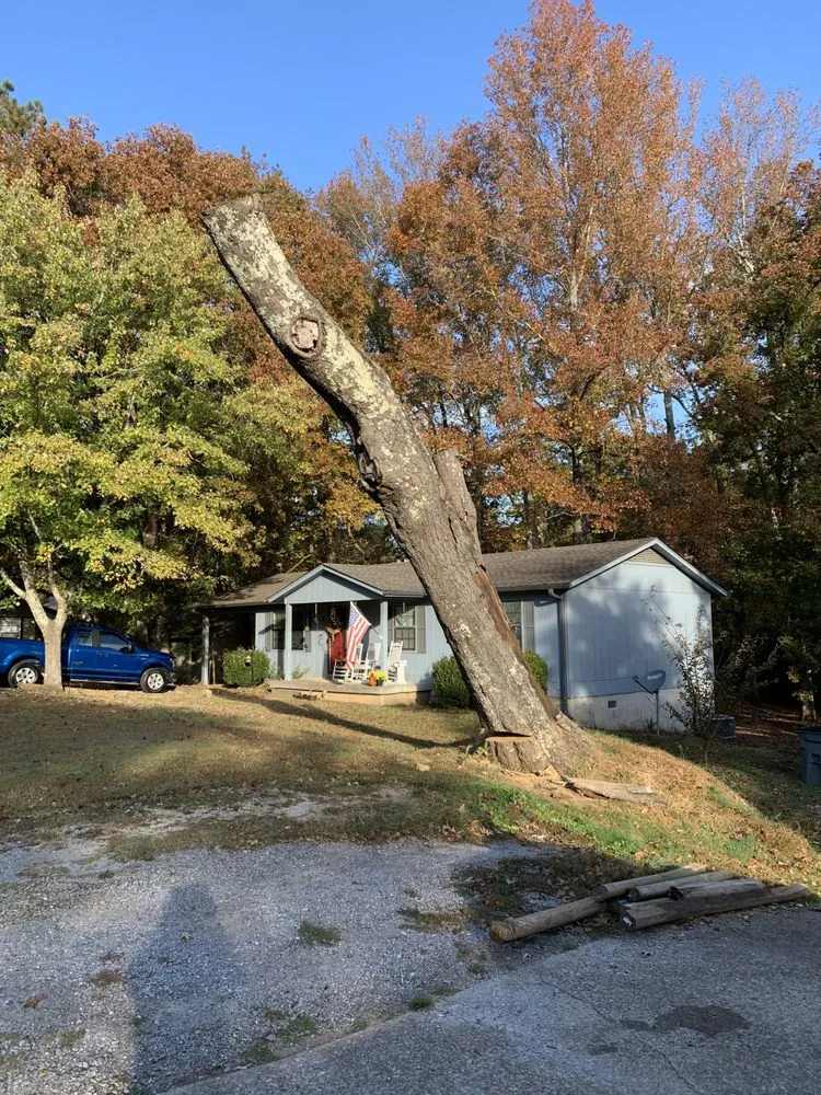 Trusted yard cleanup service in Florence, AL - D&M services