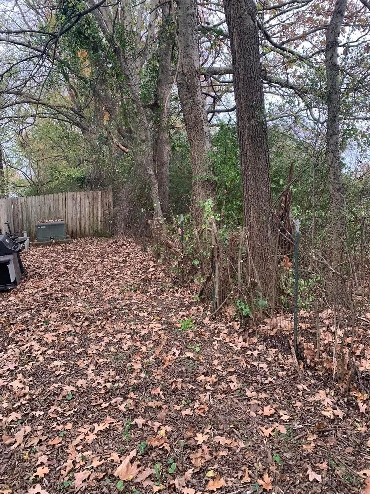 Affordable lawn care service near you in Florence, AL by D&M services