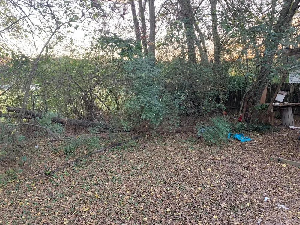 Expert yard cleanup service for year-round maintenance across Florence, AL - D&M services