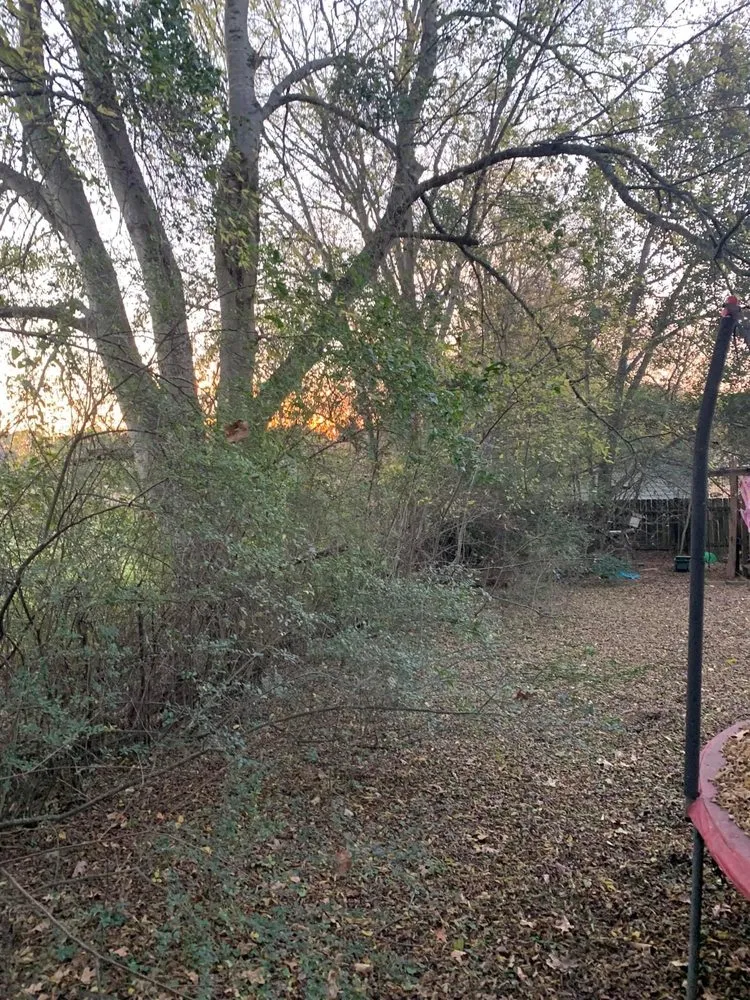 Custom lawn mowing service experts serving Florence, AL - D&M services