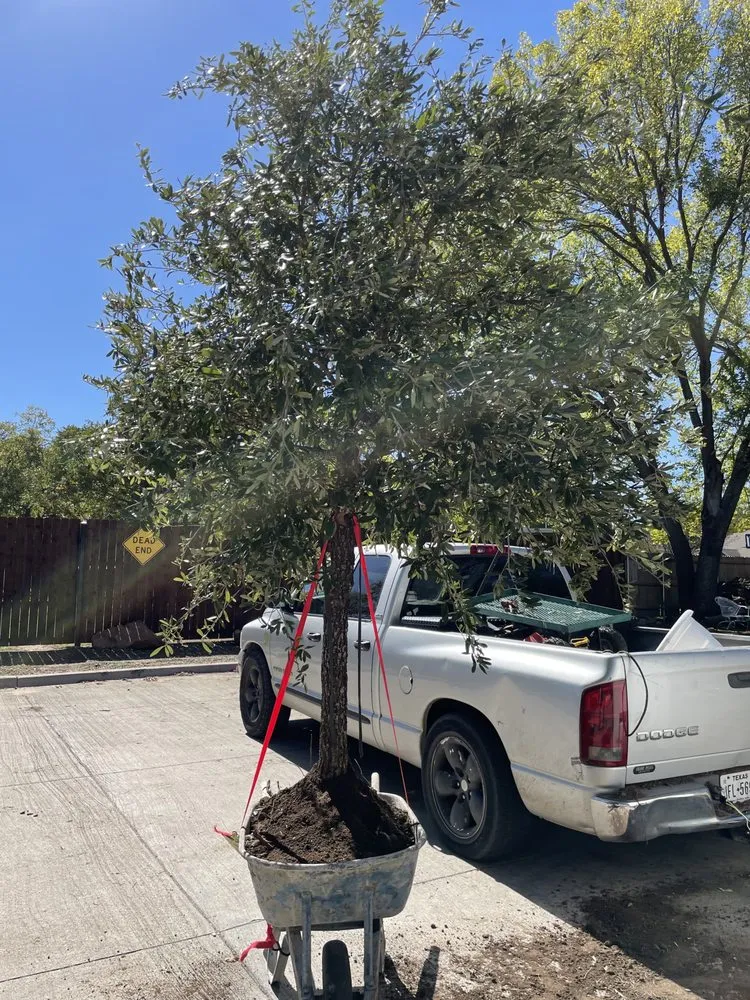 Custom garden landscaping in Hurst, TX - D&M Services