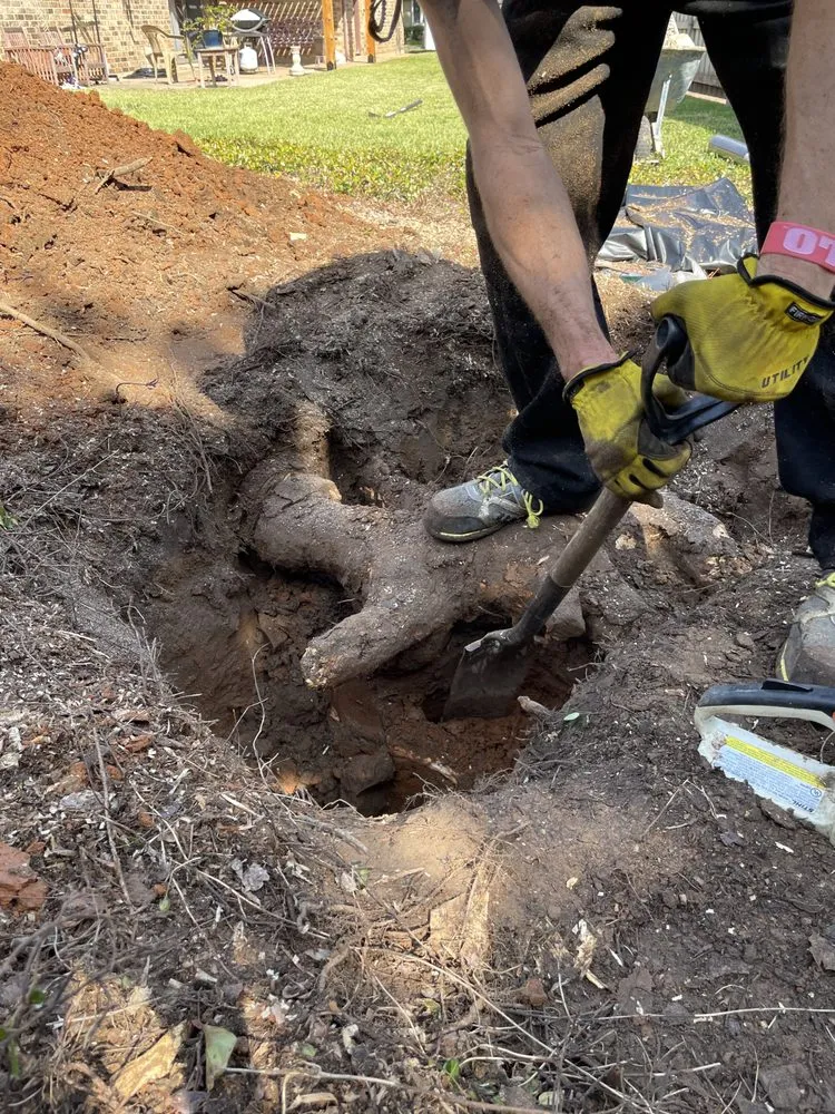 Affordable lawn mowing service for beautiful yards across Hurst, TX - D&M Services