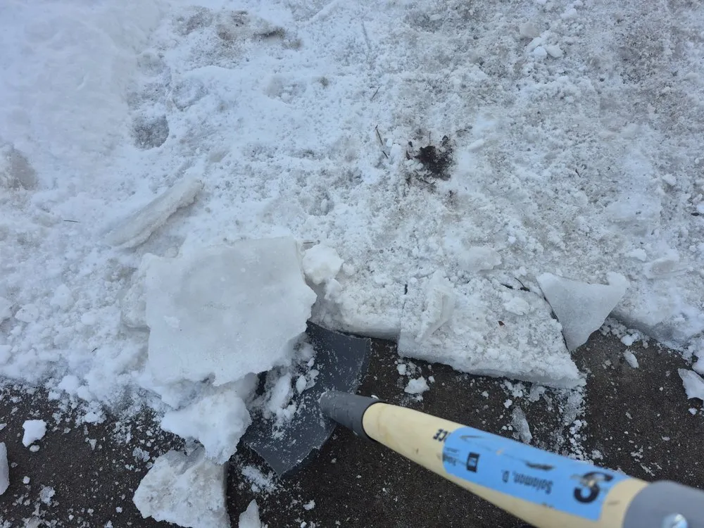 Reliable lawn mowing service near you across Norridge, IL - DM Solomon