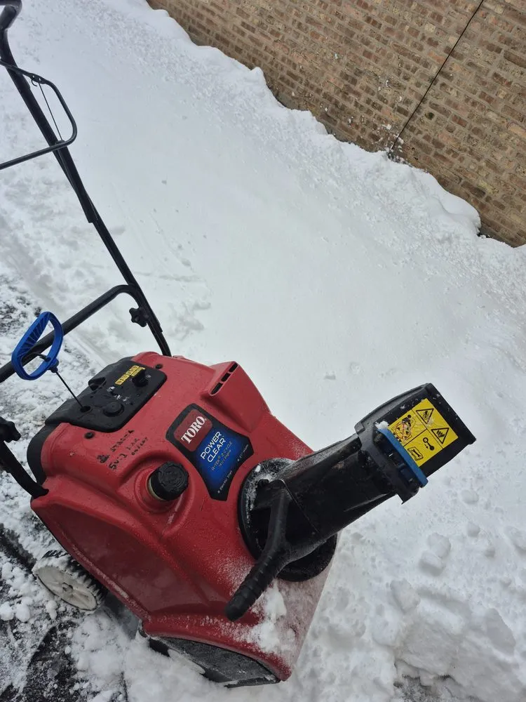 Reliable residential landscaping near you across Norridge, IL - DM Solomon