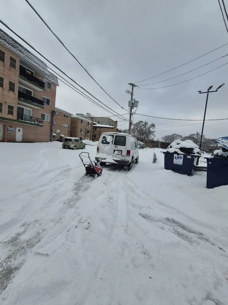 Professional outdoor landscaping in Norridge, IL - DM Solomon