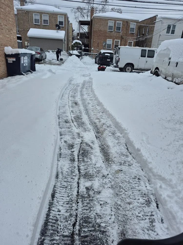 Local yard cleanup service with custom design across Norridge, IL - DM Solomon