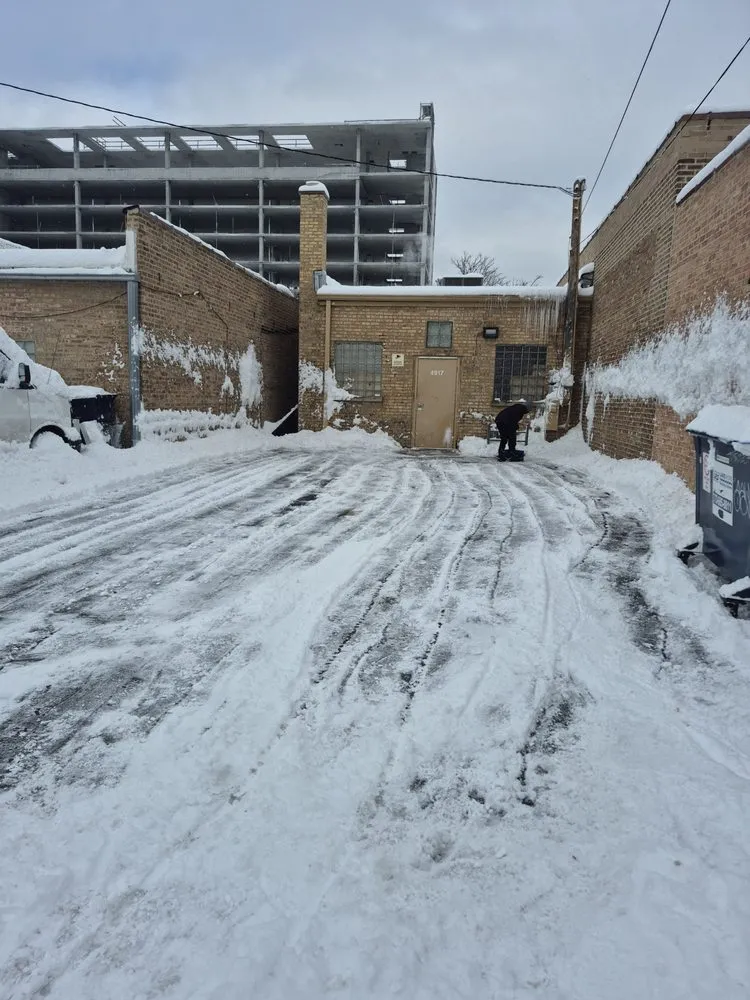 Expert yard maintenance for year-round maintenance in Norridge, IL by DM Solomon