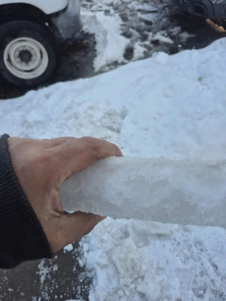 Trusted garden landscaping for year-round maintenance in Norridge, IL by DM Solomon