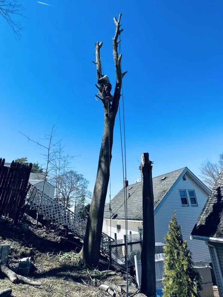 Trusted garden landscaping near you in Lynn, MA by DM Tree Service & landscaping