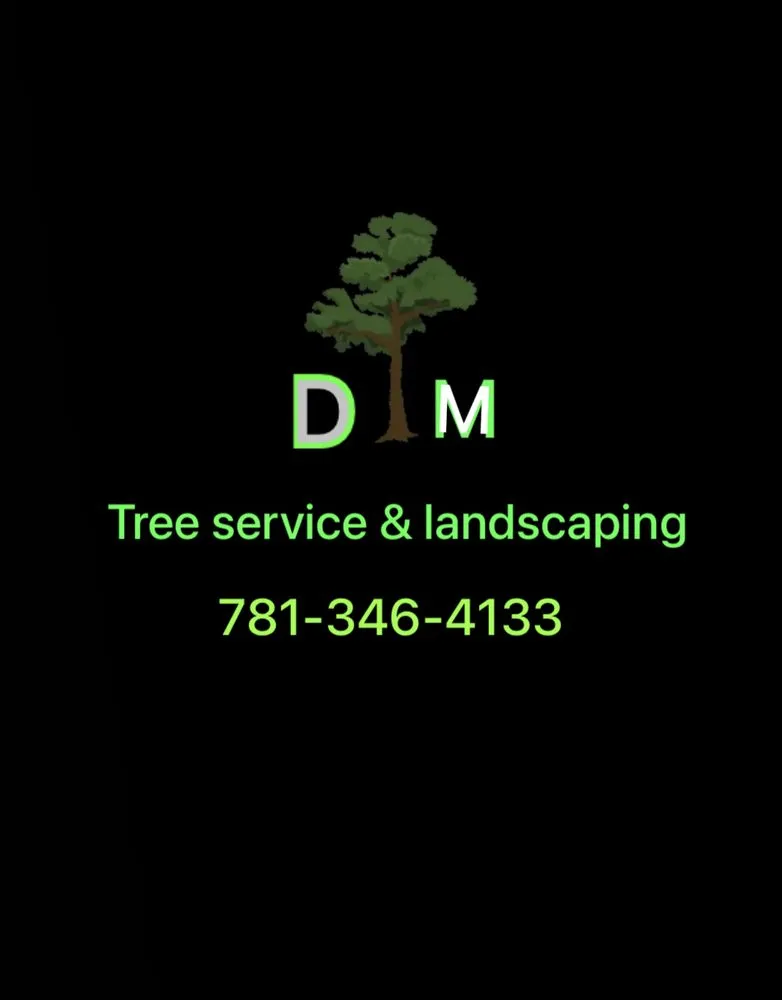 Reliable landscaping services in Lynn, MA by DM Tree Service & landscaping