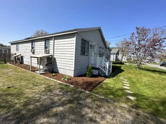 DM Tree Service & landscaping Logo