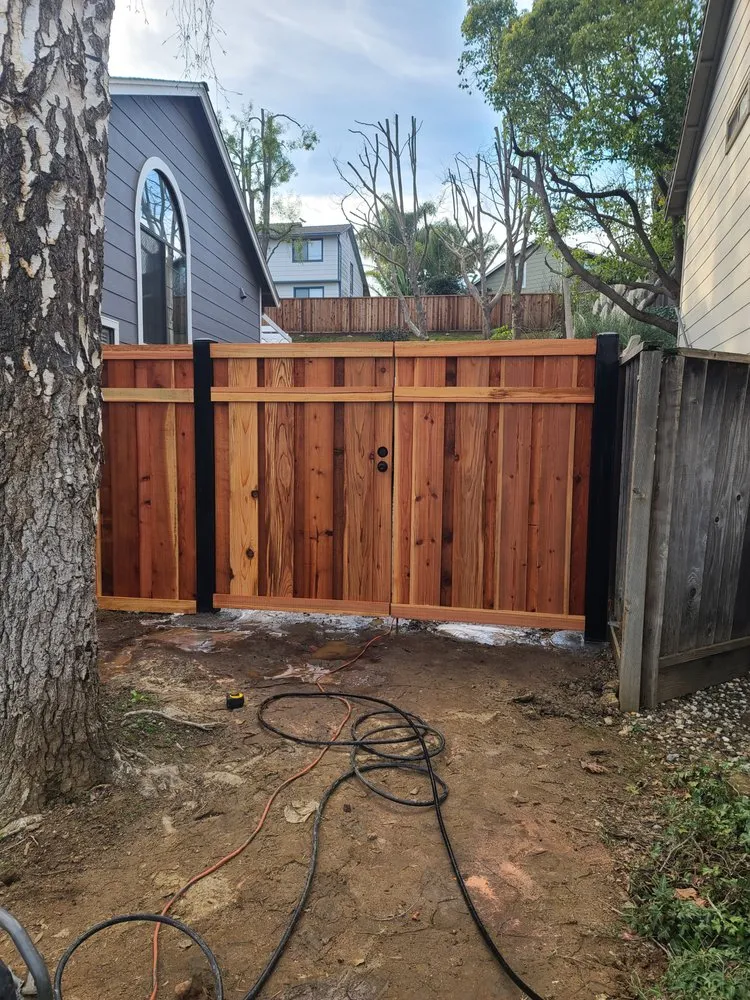 Trusted yard cleanup service experts serving Vallejo, CA - DM Vazquez