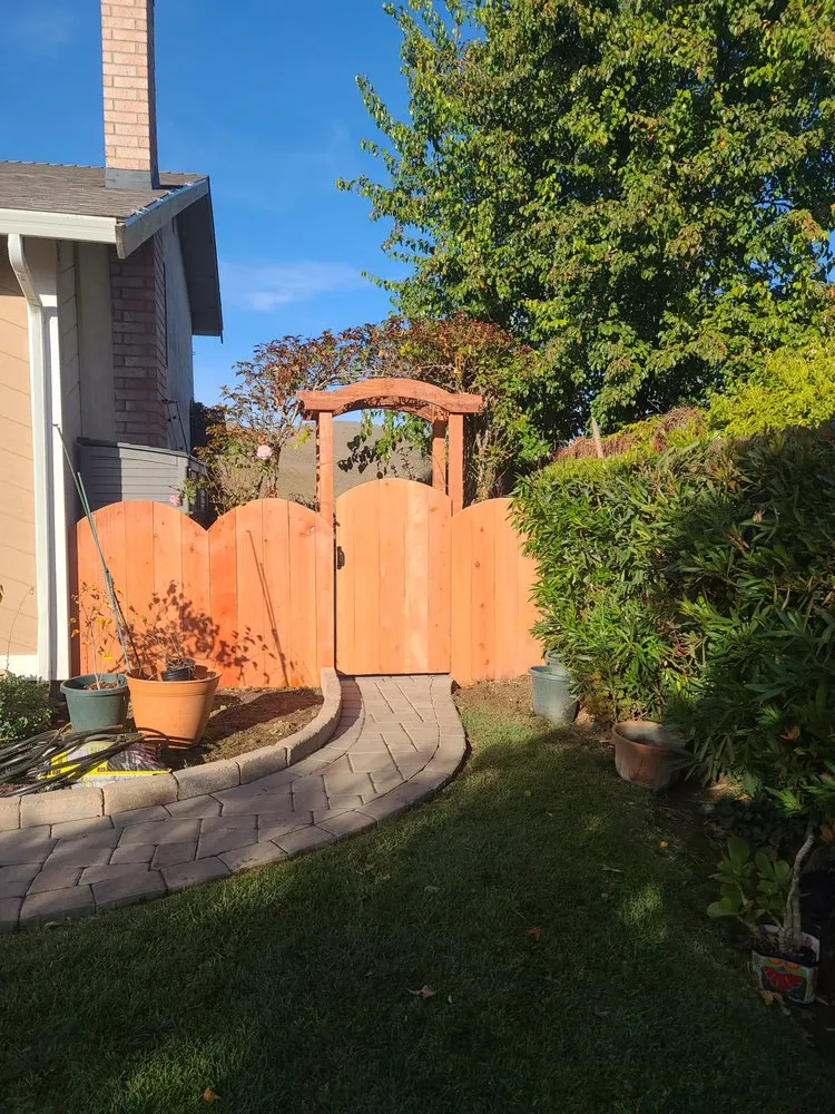 Professional landscape design in Vallejo, CA - DM Vazquez