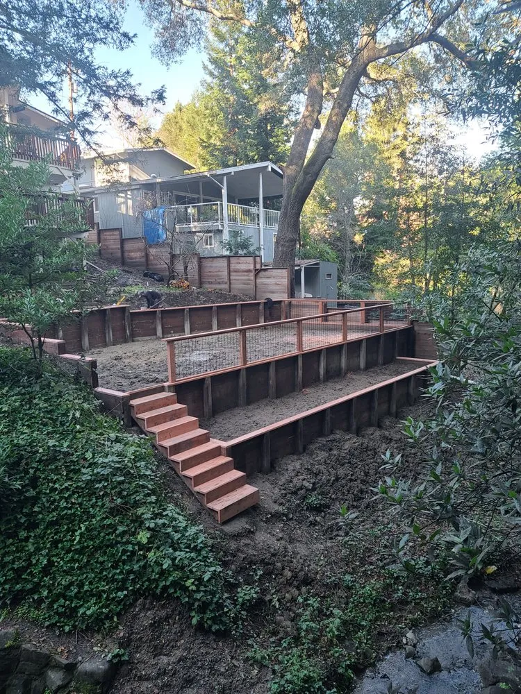 Trusted yard maintenance experts serving Vallejo, CA - DM Vazquez