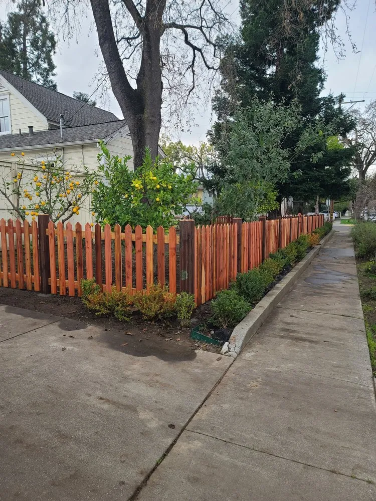 Top-rated lawn mowing service in Vallejo, CA by DM Vazquez