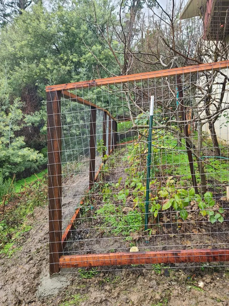 Reliable outdoor landscaping in Vallejo, CA - DM Vazquez