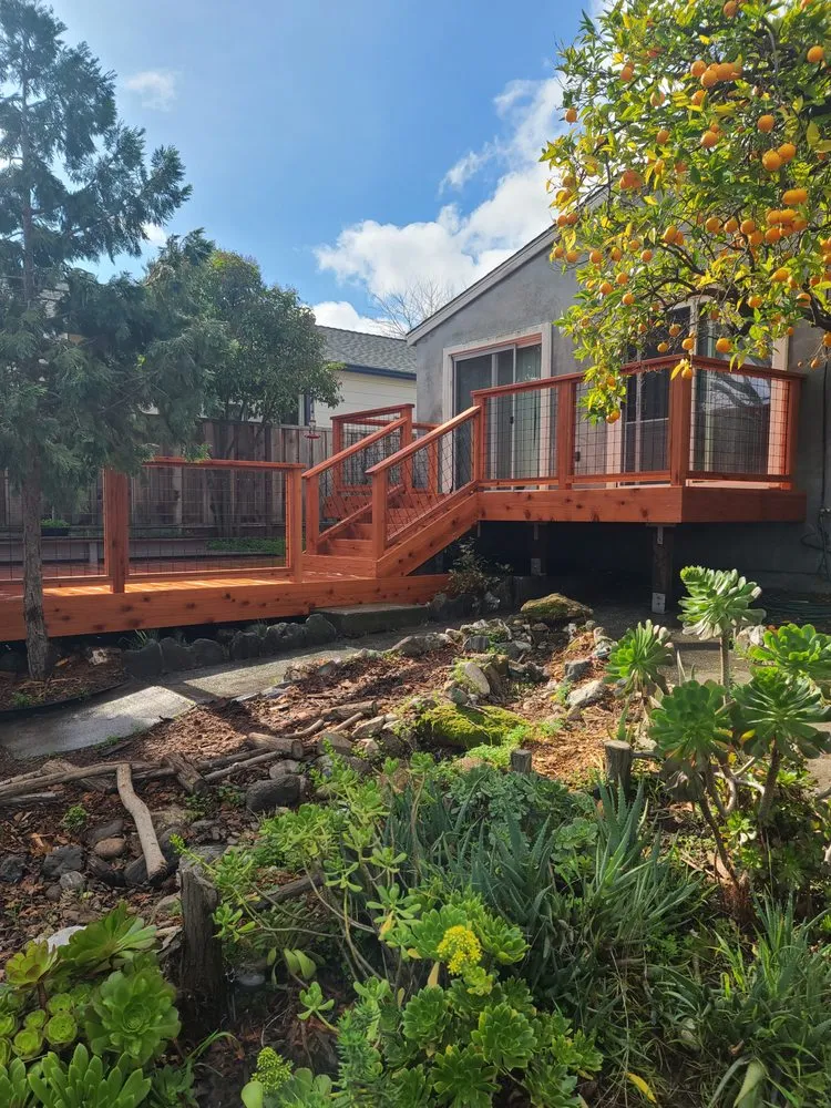 Affordable yard maintenance experts serving Vallejo, CA - DM Vazquez