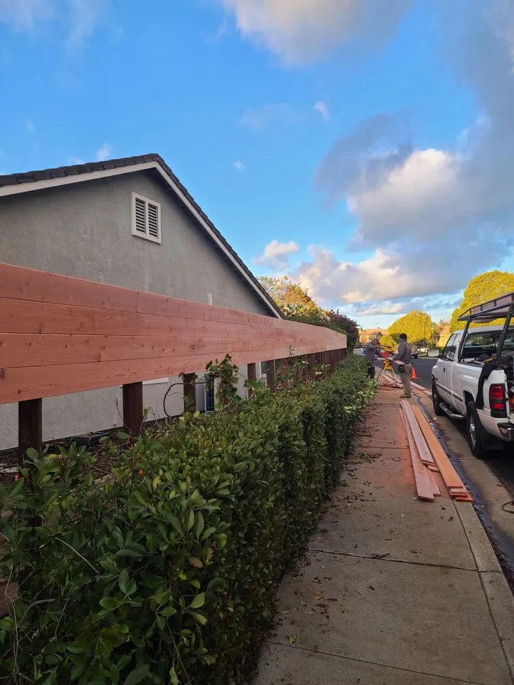 Trusted lawn care service experts serving Vallejo, CA - DM Vazquez