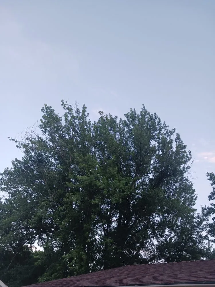 Expert outdoor landscaping experts serving Wichita, KS - D&M Yard Works Lawn Care