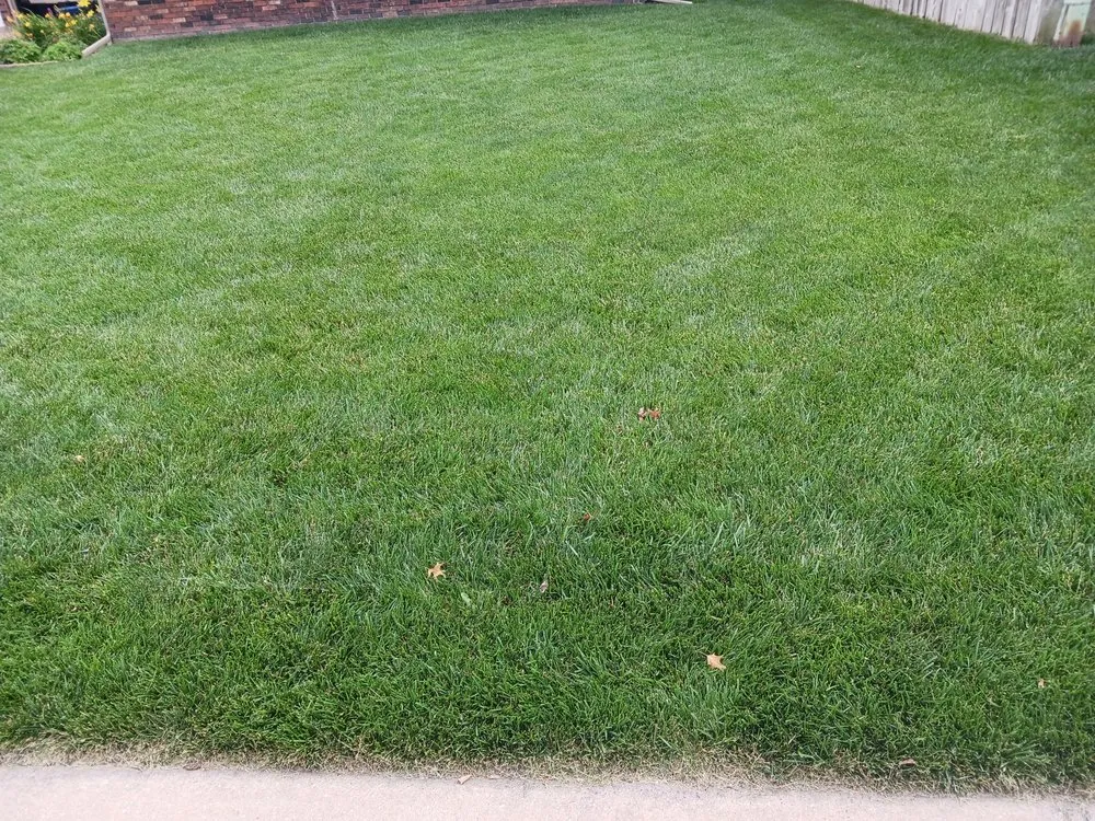 Reliable lawn mowing service for beautiful yards across Wichita, KS - D&M Yard Works Lawn Care