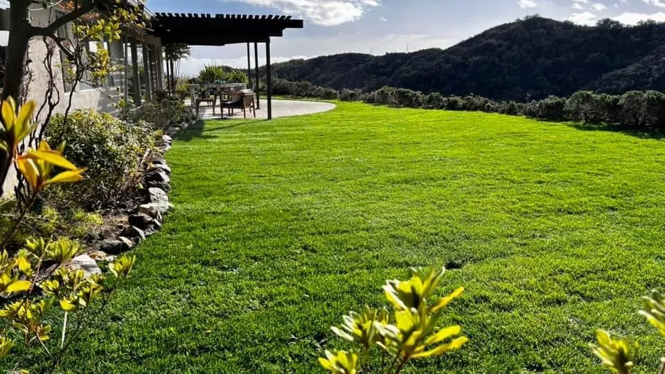 Top-rated lawn care service for residential properties in Los Angeles, CA by DMA Landscaping