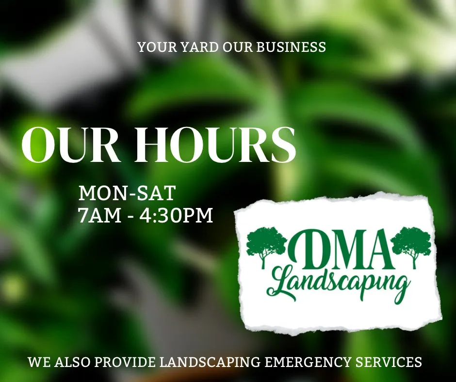 Trusted lawn care service in Los Angeles, CA - DMA Landscaping