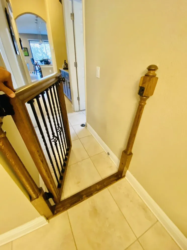 Professional yard cleanup service in Tampa, FL - DMAK Construction And Design